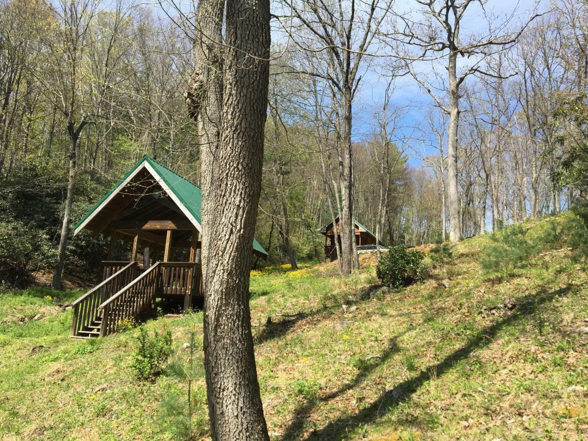 Little River Cabin Sparta Bagian luar foto